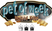 a pet of the week award